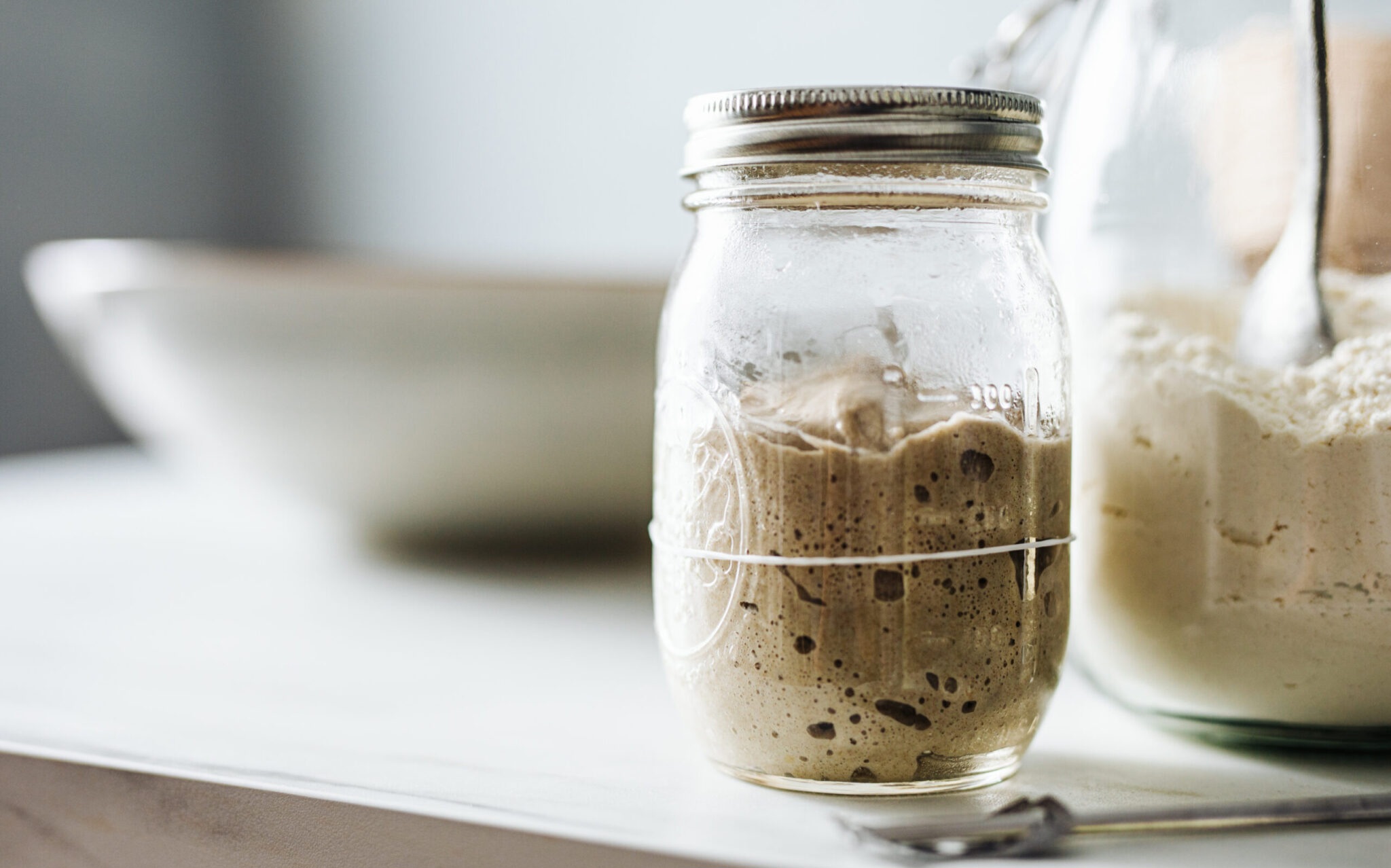 sourdough starter scaled